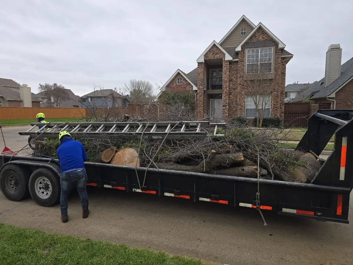 Expert Tree Removal with proper safety equipment in Howard Lake